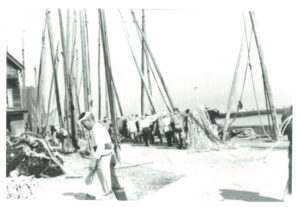 新湊漁港、網運びの様子（1960年）
